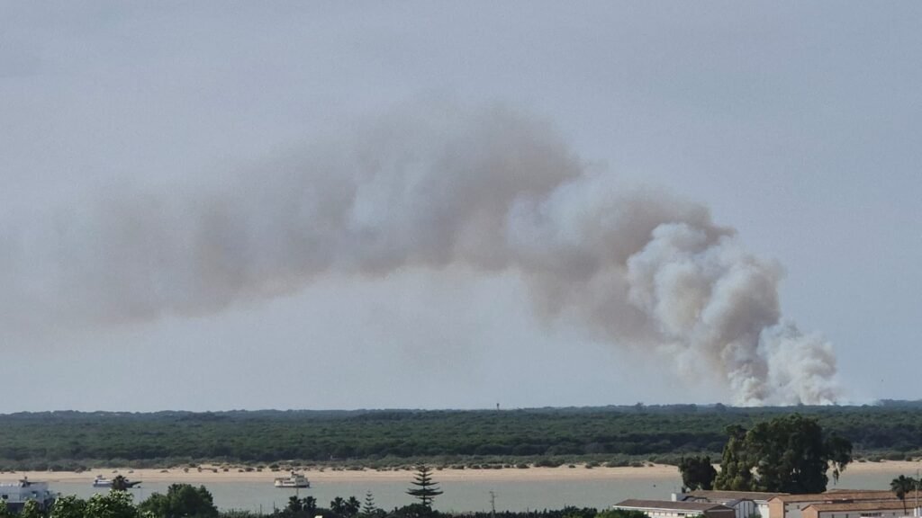 Columna de humo del incendio en Doñana visible desde Sanlúcar de Barrameda