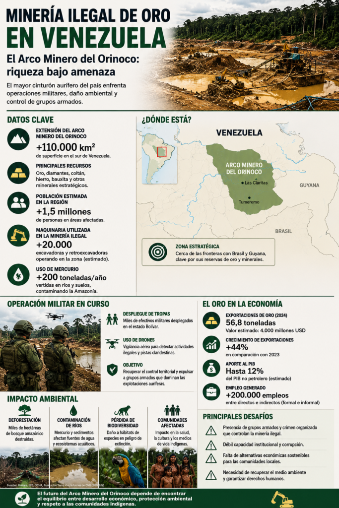 infografia-mineria-ilegal-venezuela-arco-minero-orinoco