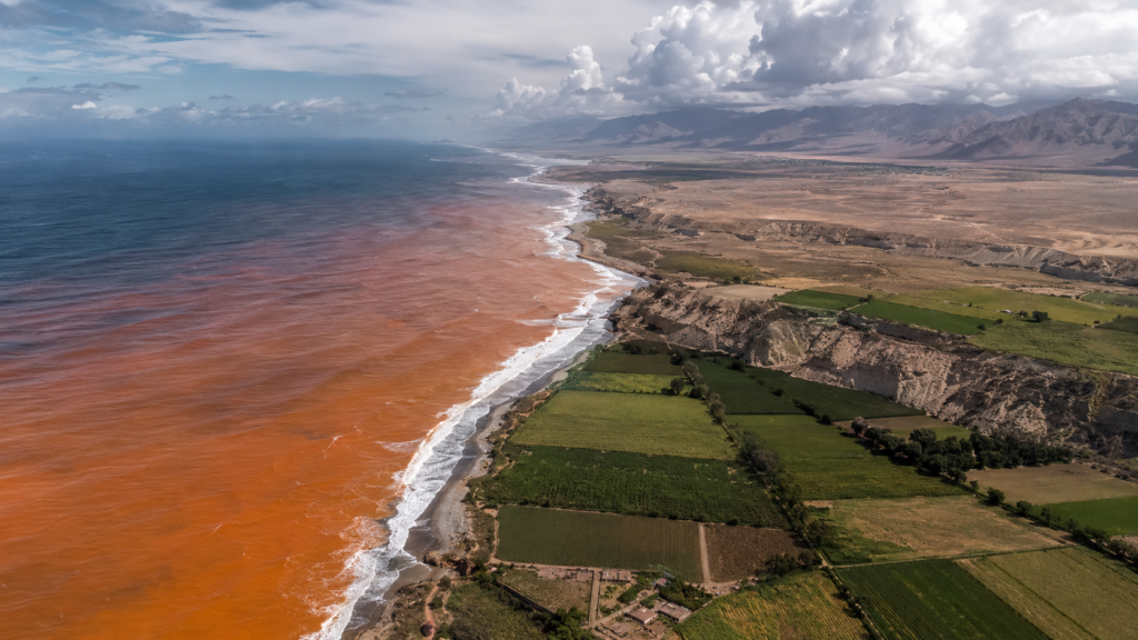 El Niño 2026 en Latinoamérica y sus impactos sobre agricultura, clima y economía